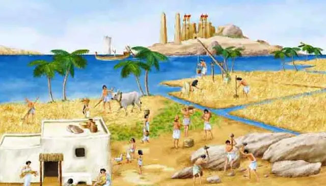 Immagine della domanda