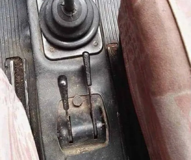 Immagine della domanda