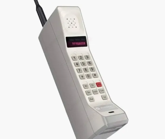 Immagine della domanda