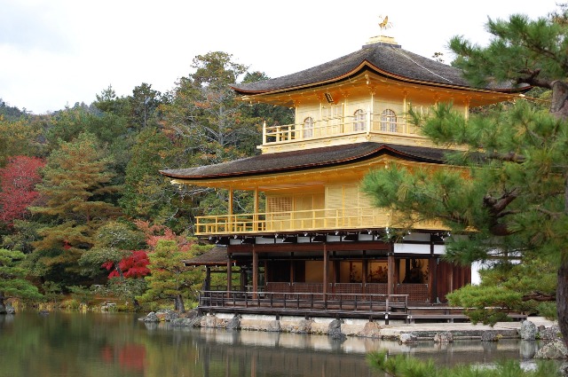 Immagine della domanda