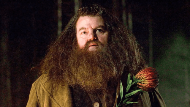 Immagine della domanda