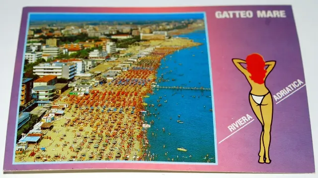 Immagine della domanda