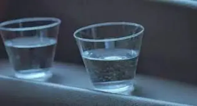 Immagine della domanda