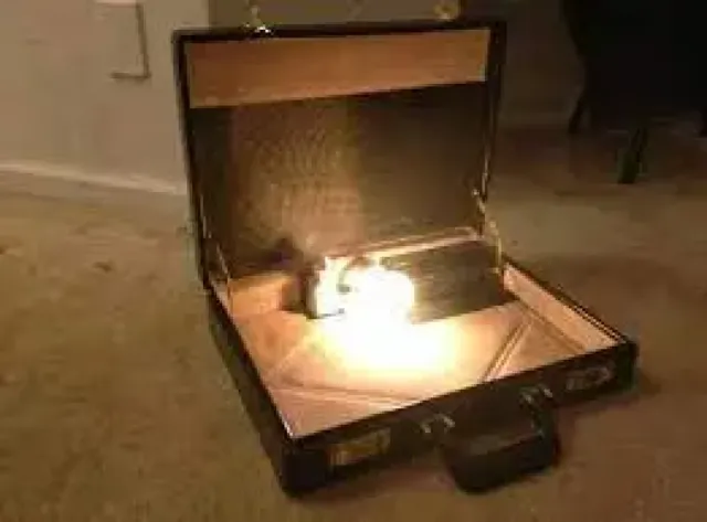 Immagine della domanda