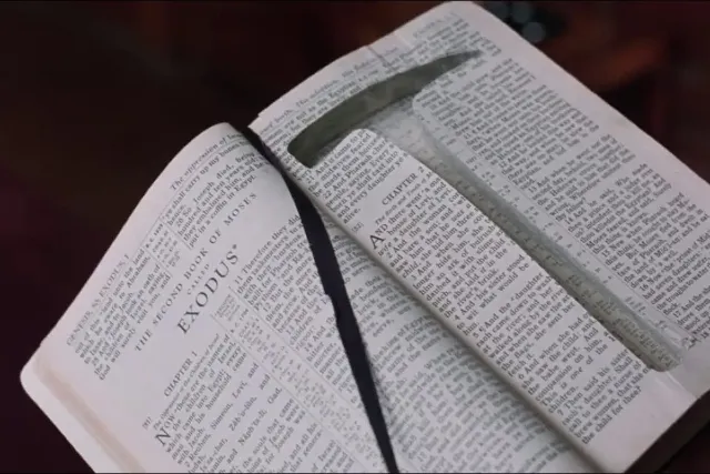 Immagine della domanda