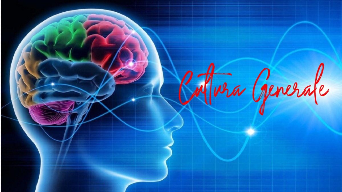 Sei davvero imbattibile in cultura generale? Scopri se hai ciò che serve per sfidare il mondo! -