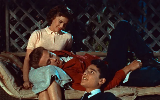 Immagine della domanda