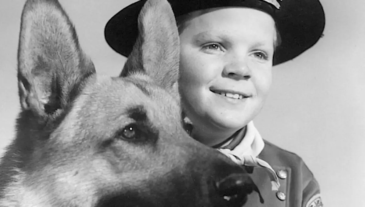 Questo quiz è così difficile che solo la nonna potrebbe aiutarti a riconoscere questi telefilm! -