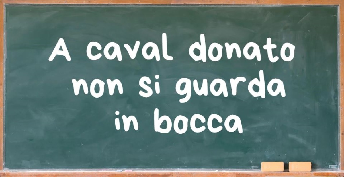 Sfida tra proverbi: Riuscirai a completare il quiz?