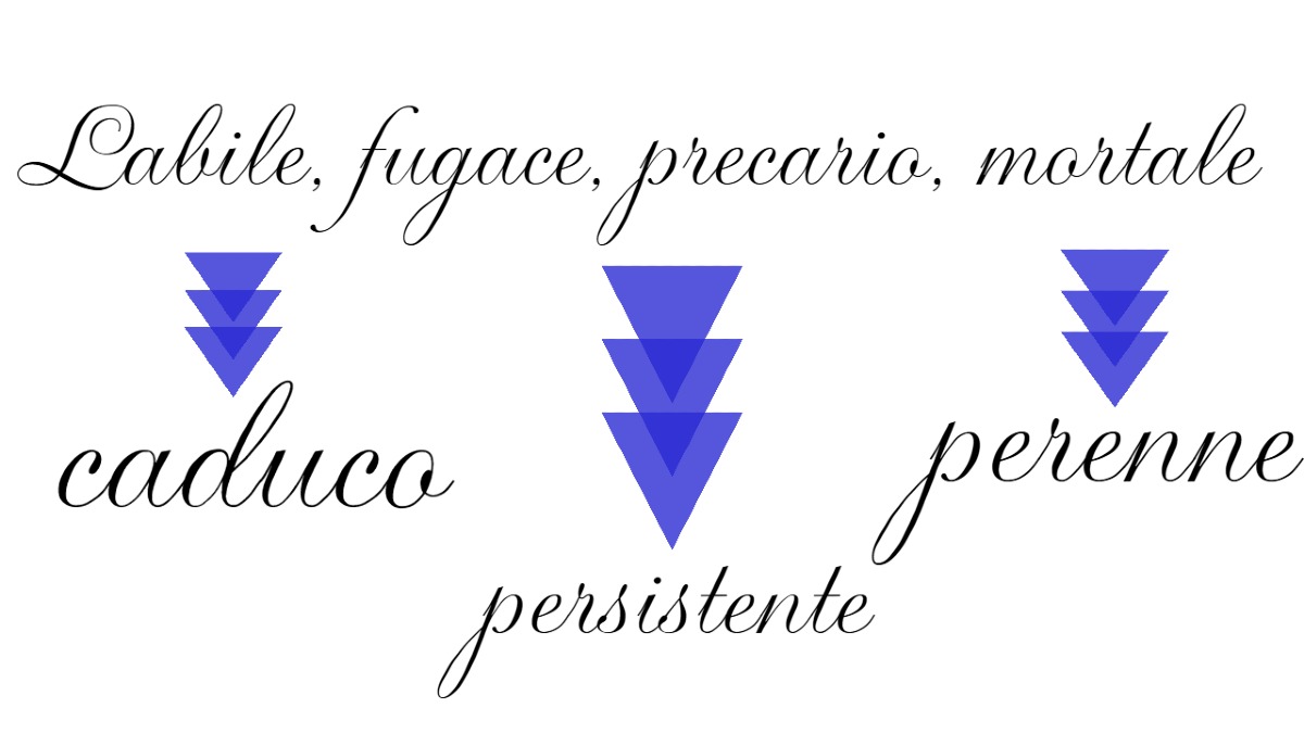 Questa volta non ti chiediamo cosa significa una parola, ma ti diamo la definizione: riuscirai a trovare il termine corretto? -