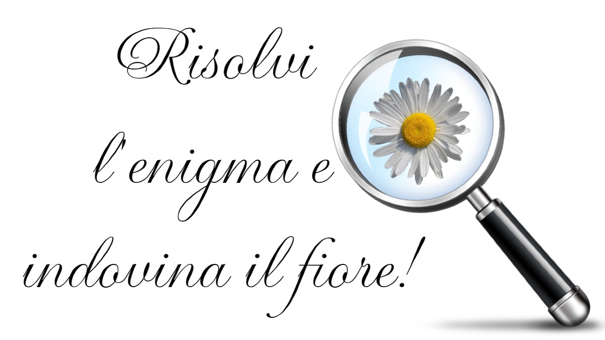Risolvi l'enigma e indovina il fiore! Solo chi ha un occhio attento sa la verità!