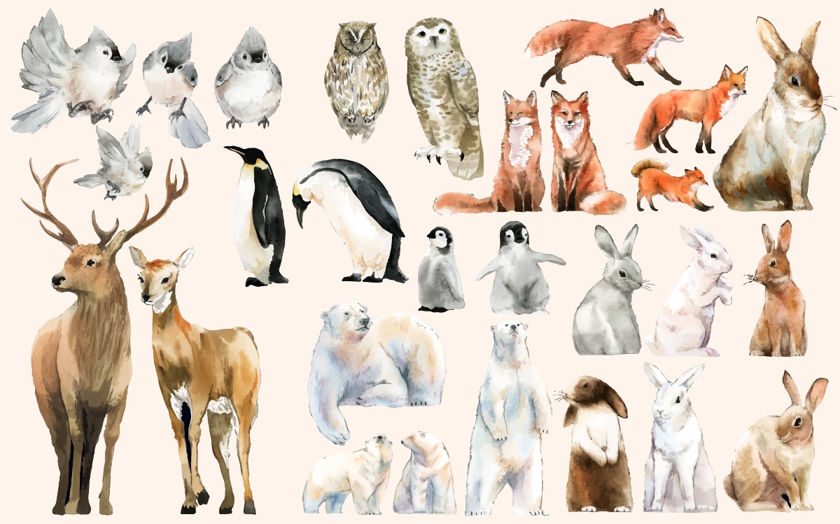 Solo un vero amante del regno animale può rispondere a tutte queste domande - Image by rawpixel.com on Freepik