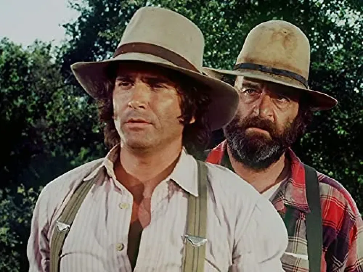 Tutti dicono di ricordare i vecchi telefilm… ma riesci davvero ad abbinare questi vecchi amici? -