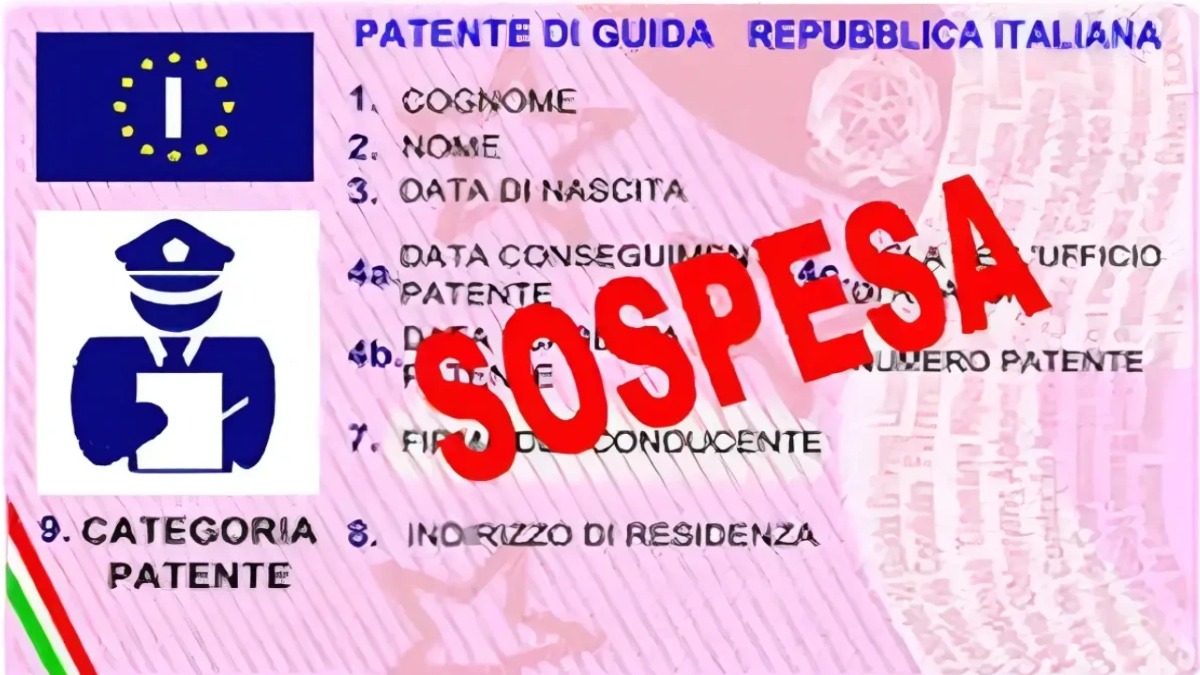 Non basta avere la patente per cavarsela: solo chi conosce DAVVERO i segnali stradali può evitare figuracce degne da revisione della licenza. -