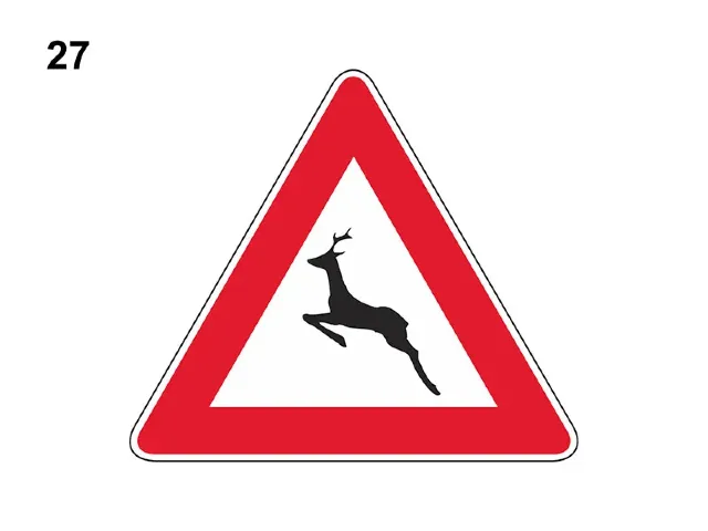 Immagine della domanda