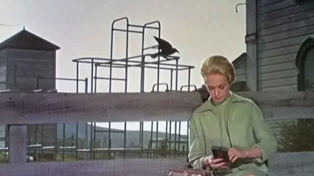 Immagine della domanda