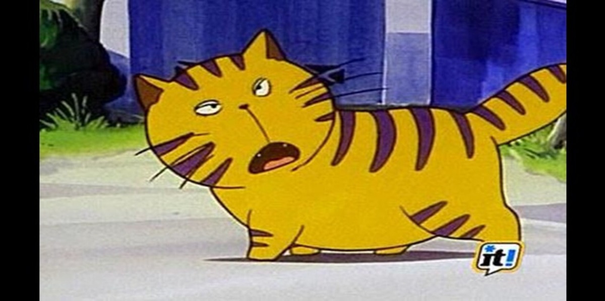 🐾 Giuliano, Gargamella, Micia… Se non li riconosci sei stato solo un gatto pigro davanti alla TV! Abbinali al cartone animato giusto -