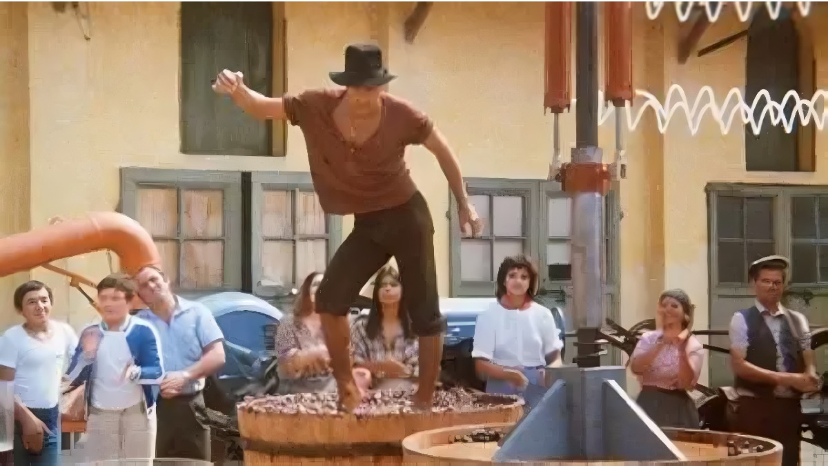 Riconosci davvero i film di Adriano Celentano? Se sbagli, non sei degno di chiamarlo “il Molleggiato”! - 