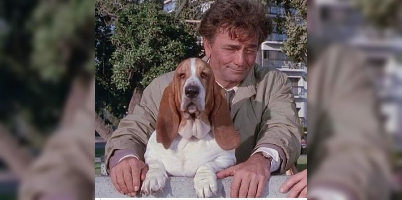 Quiz: Detective, poliziotti, agenti.... ma come si fa ad abbinarli al proprio telefilm... o sei un genio o non puoi farcela - 