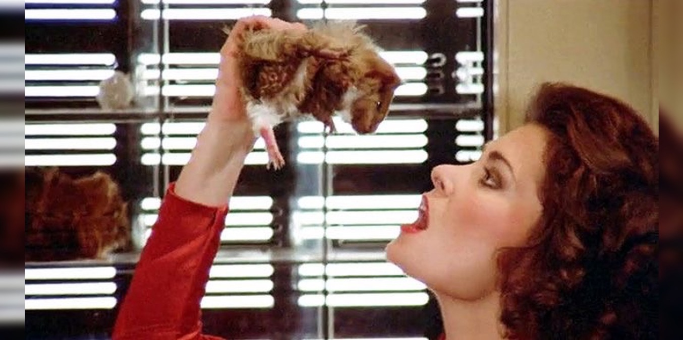 Quiz: Solo i veri figli degli anni '80 possono abbinare questi 10 personaggi ai loro telefilm! - 