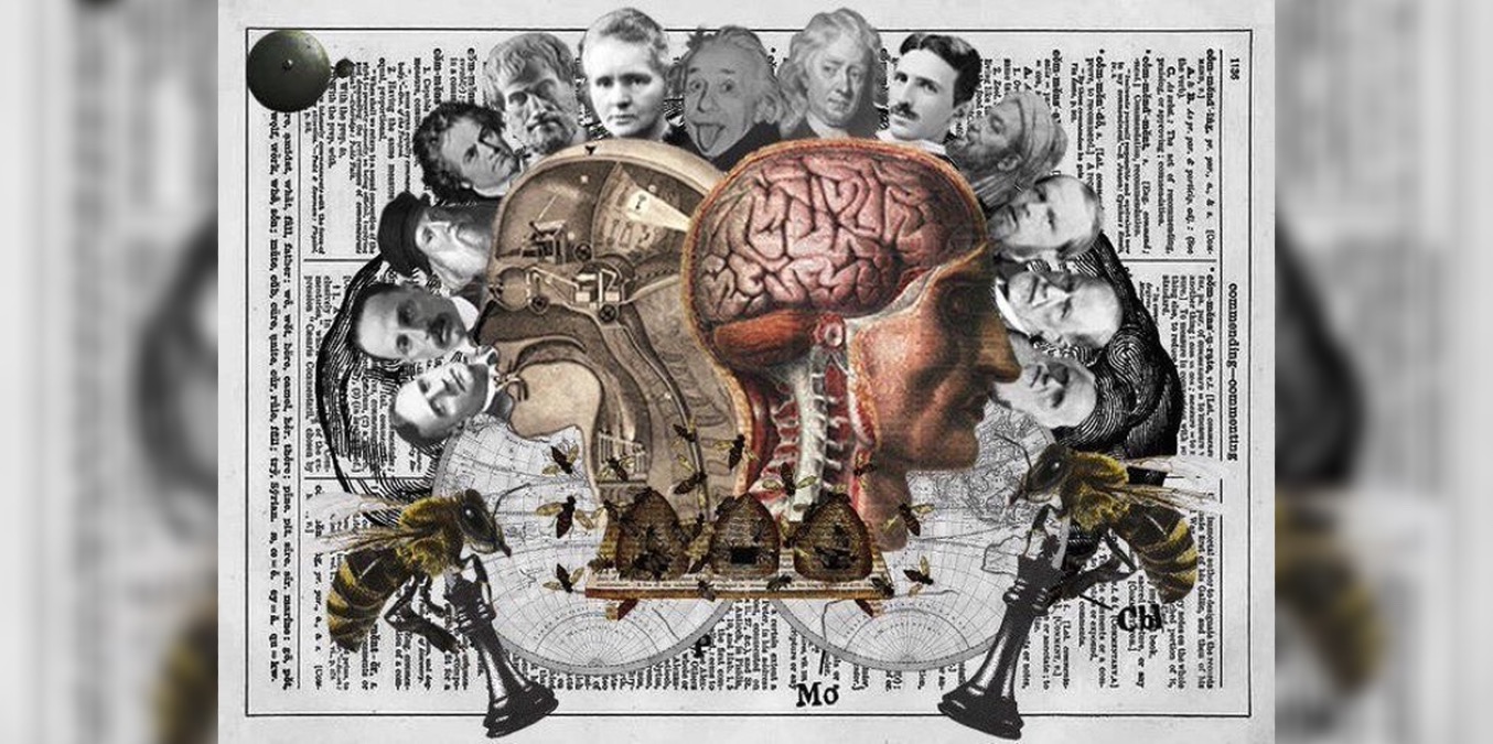 Quiz: Sei davvero un genio della cultura generale? Sfida la tua intelligenza con questo quiz! - 