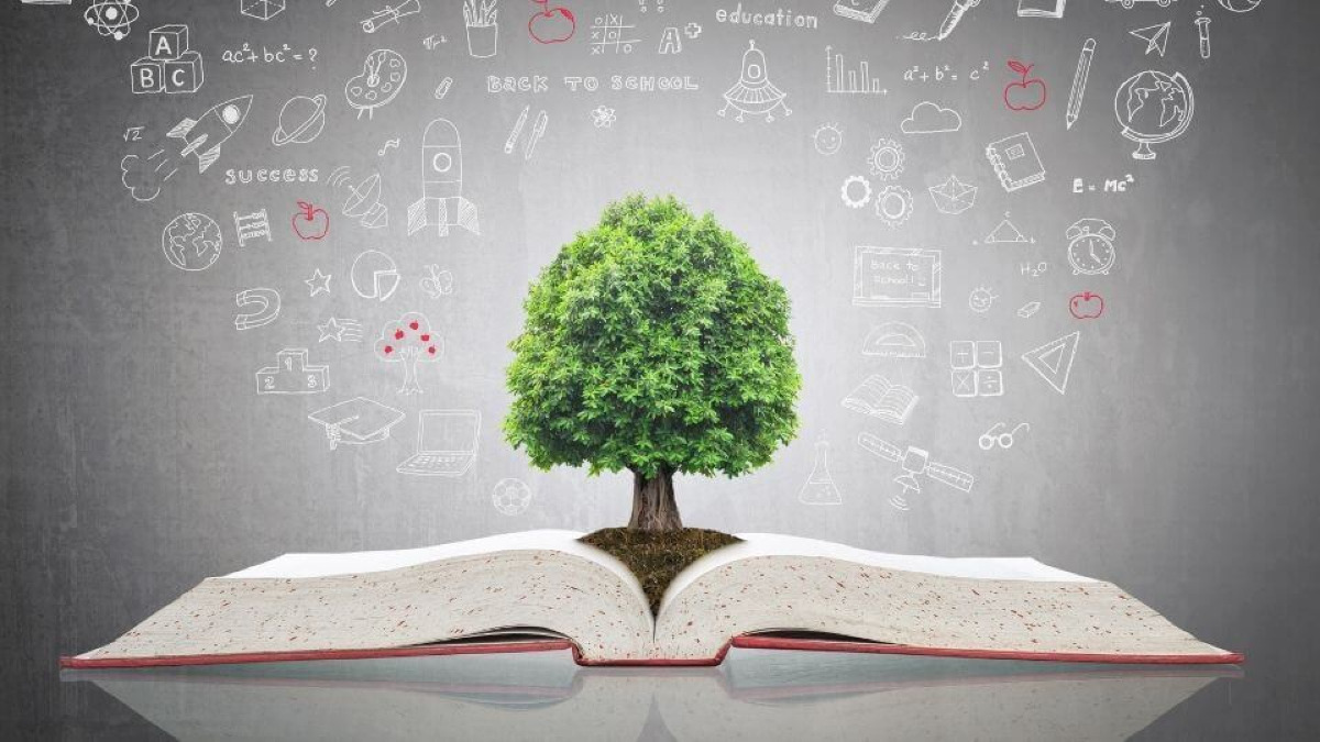 Quiz: Costituzione, diritti e istituzioni… vediamo se la tua educazione civica è davvero all’altezza - 