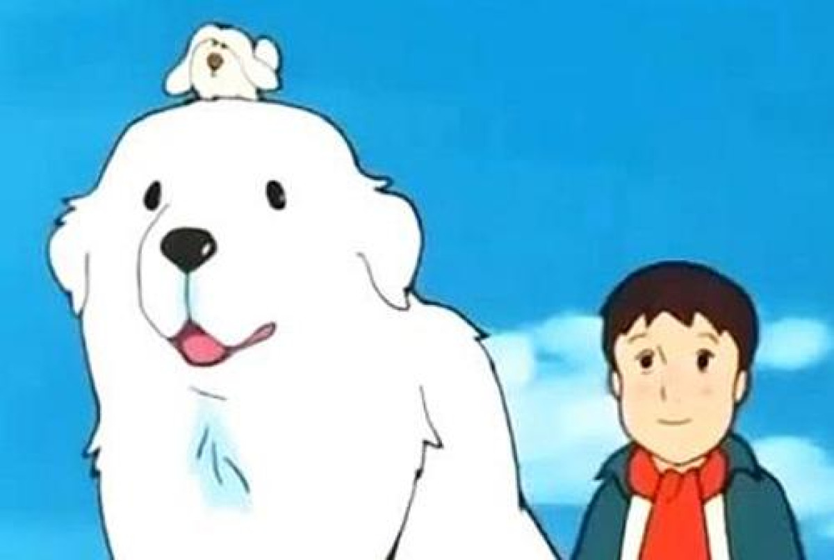 Quiz: Belle e Sébastien non perdona… queste 10 domande mettono in crisi anche chi dice di conoscerlo a memoria - 