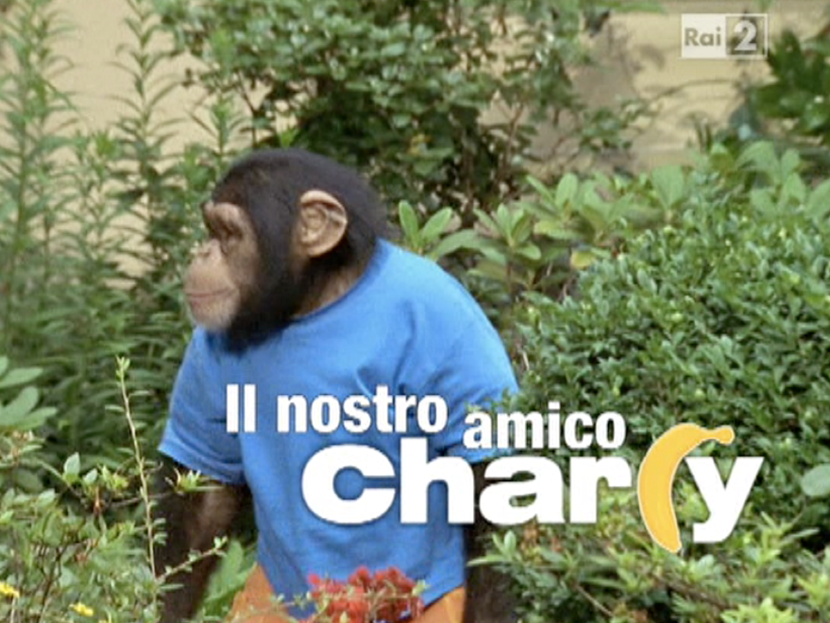 Quiz: Il nostro amico Charlie… solo chi ha visto davvero ogni episodio può sopravvivere a queste 10 domande - 