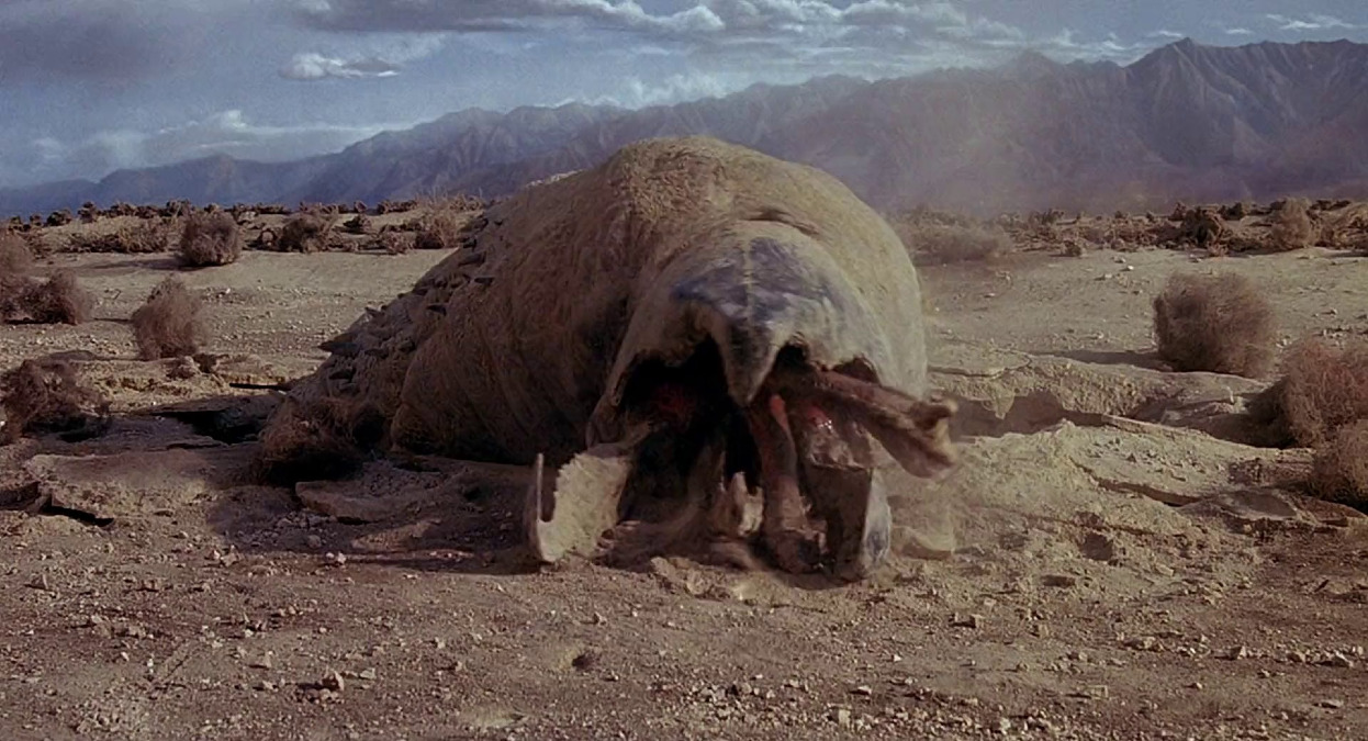 Quiz: Tremors – Se pensi di conoscere Perfection… preparati a ricrederti - 