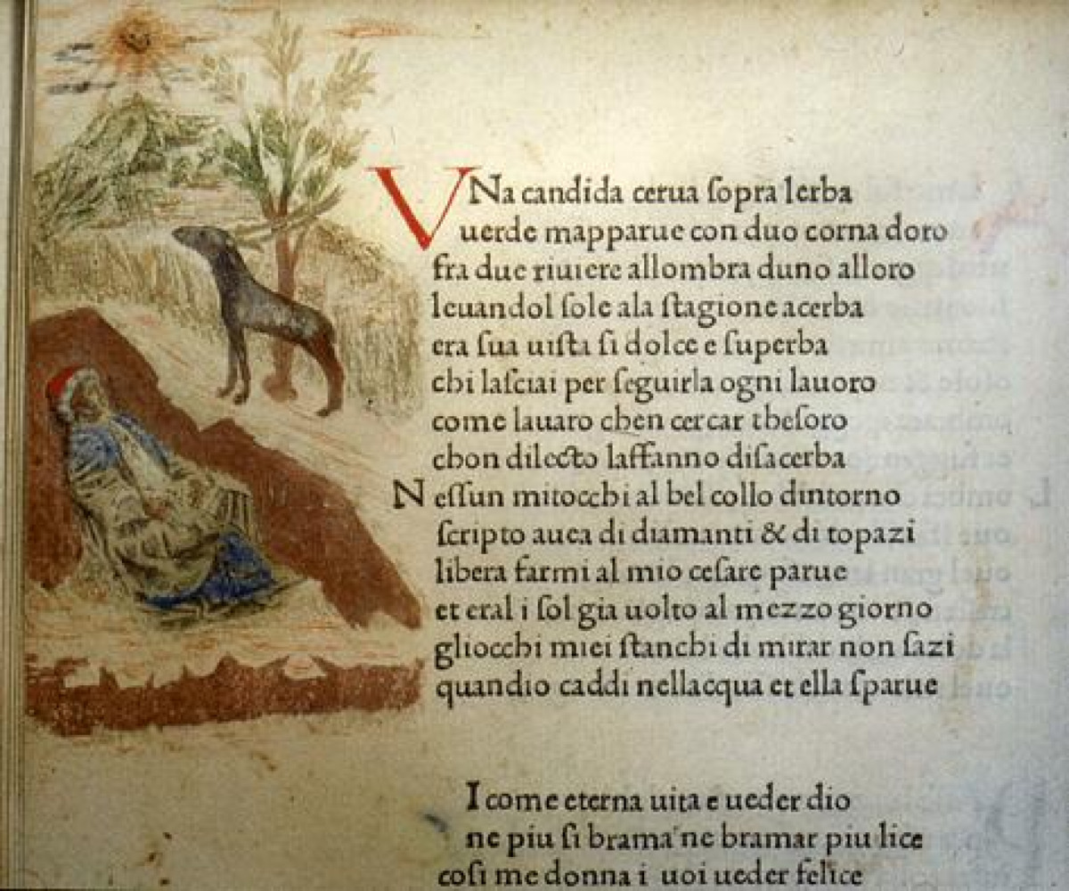 Quiz: Il Canzoniere di Petrarca tra simbolismo, stile e Laura… pochi riescono a non crollare prima della fine - 