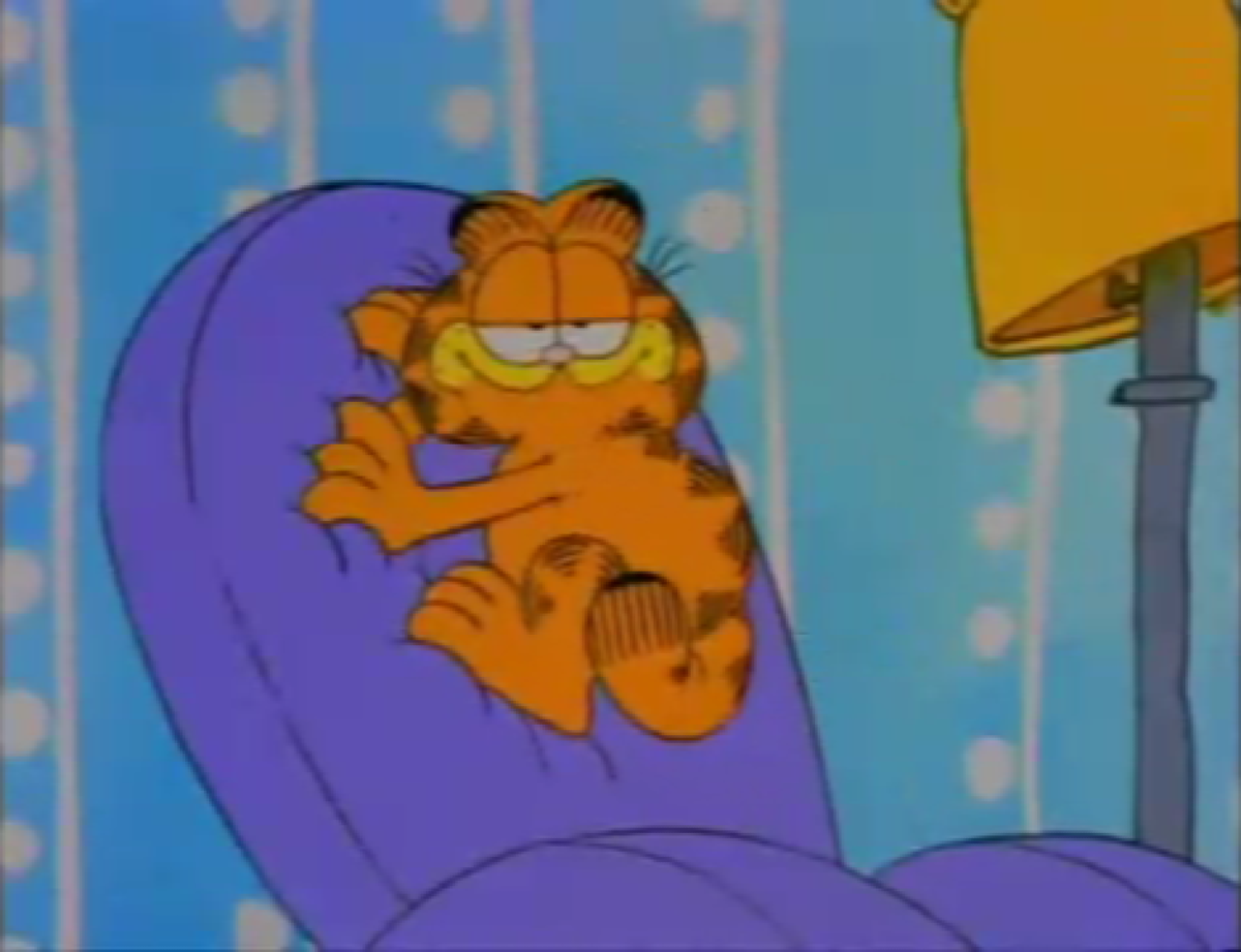 Quiz: Garfield ti faceva ridere da bambino… ma questo quiz metterà seriamente in crisi anche i fan più accaniti! - 
