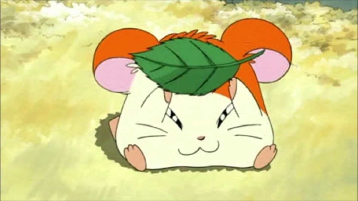 Quiz: Hamtaro correva in TV mentre facevi merenda… ma riuscirai davvero a ricordare questi dettagli impossibili? - 