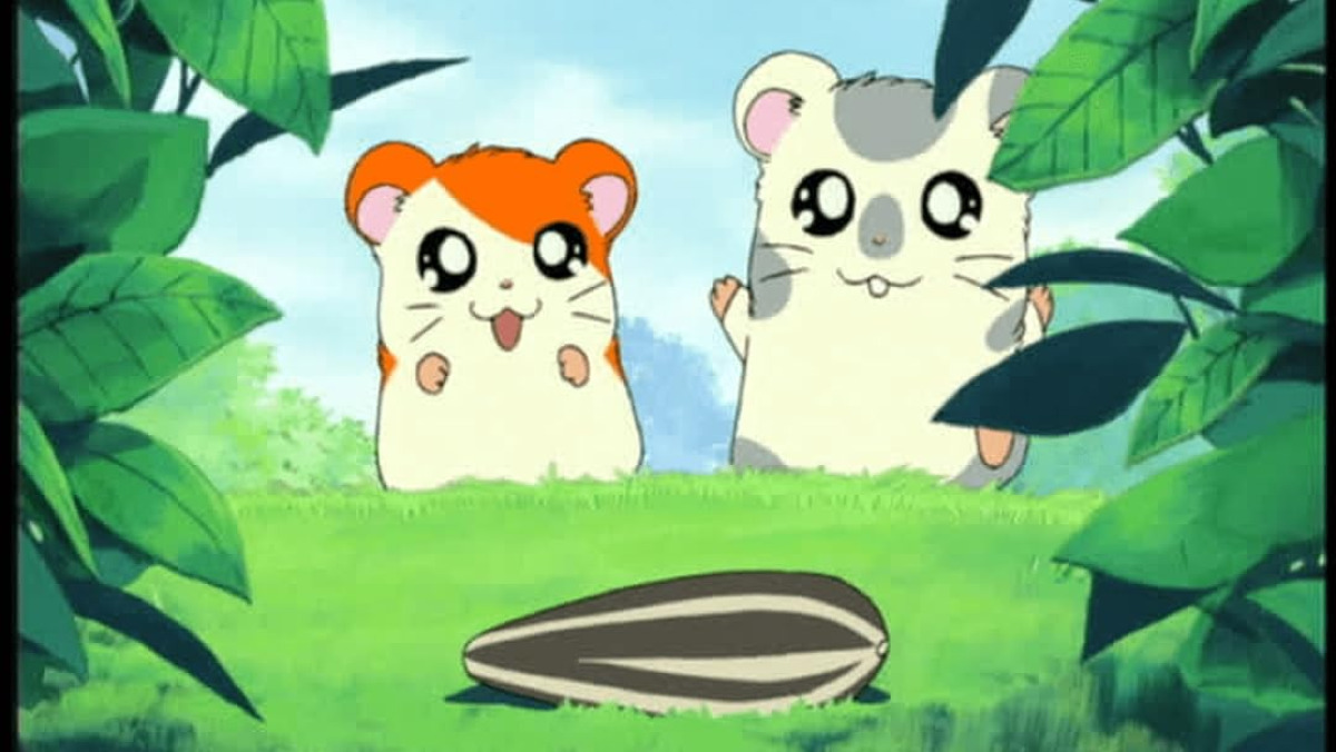 Quiz: Hamtaro, ricordi davvero la Ham-Ham Gang? Questi 10 dettagli sono roba da super fan! - 